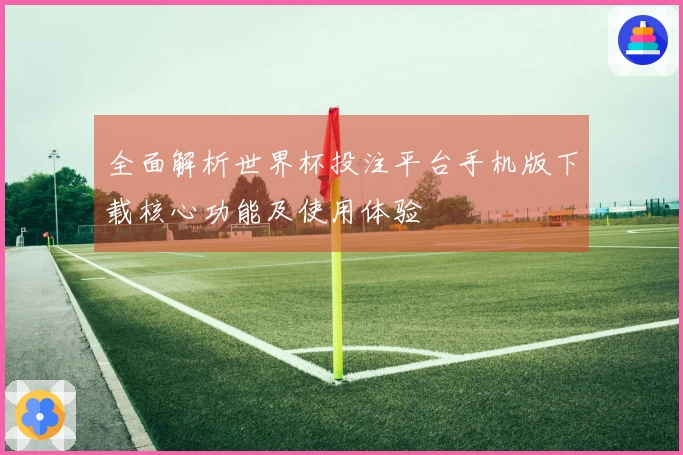 全面解析世界杯投注平台手机版下载核心功能及使用体验