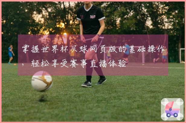 掌握世界杯买球网页版的基础操作，轻松享受赛事直播体验