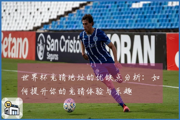 世界杯竞猜地址的优缺点分析：如何提升你的竞猜体验与乐趣