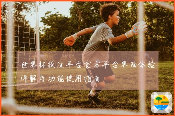 世界杯投注平台官方平台界面体验详解与功能使用指南