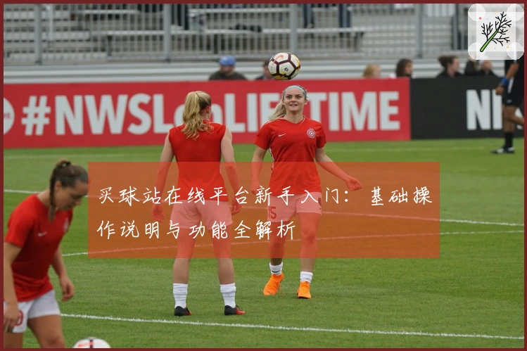 买球站在线平台新手入门：基础操作说明与功能全解析