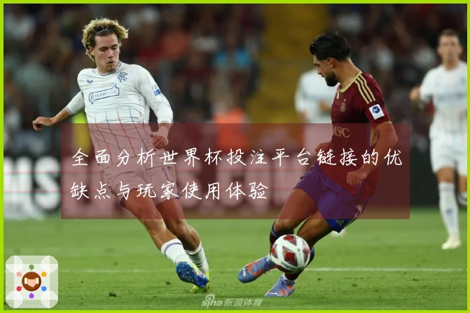 全面分析世界杯投注平台链接的优缺点与玩家使用体验