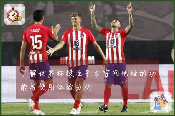 了解世界杯投注平台官网地址的功能与使用体验分析