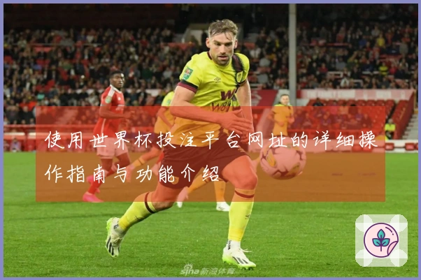 使用世界杯投注平台网址的详细操作指南与功能介绍