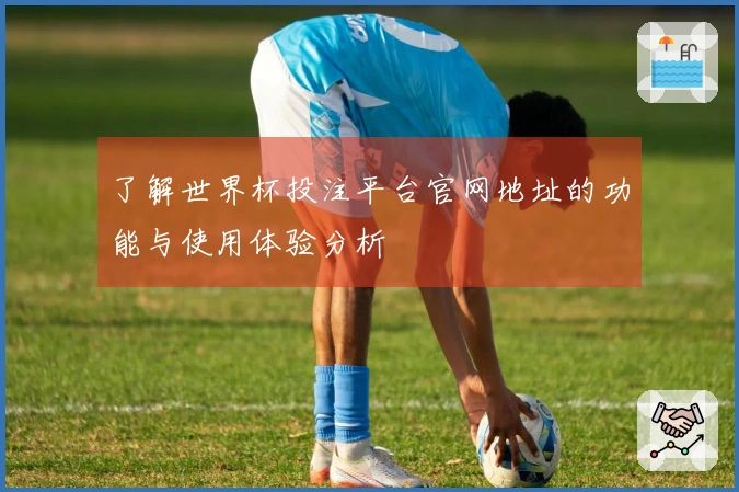 了解世界杯投注平台官网地址的功能与使用体验分析