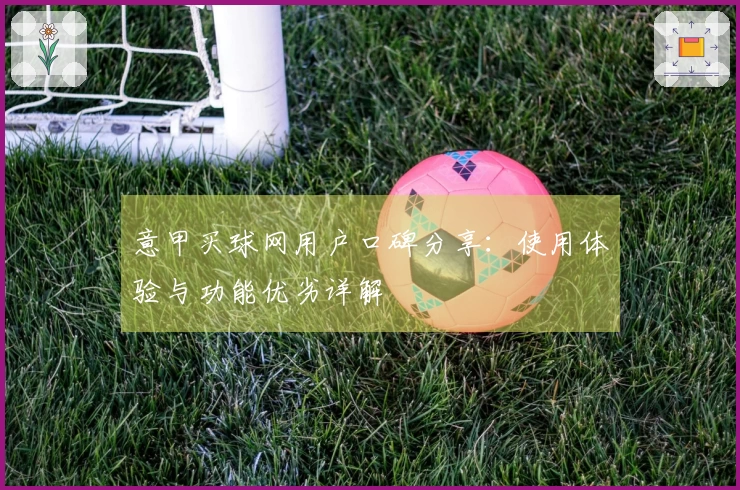 意甲买球网用户口碑分享：使用体验与功能优劣详解