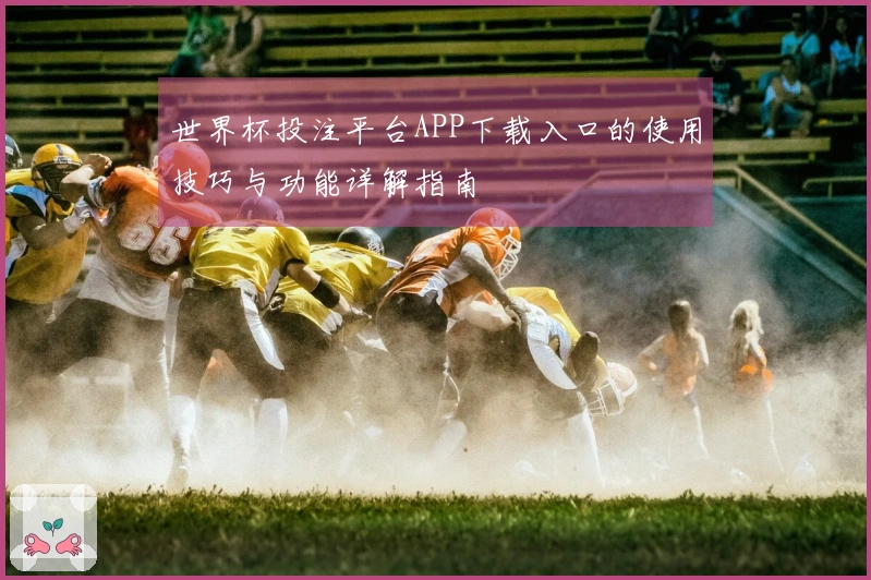 世界杯投注平台APP下载入口的使用技巧与功能详解指南