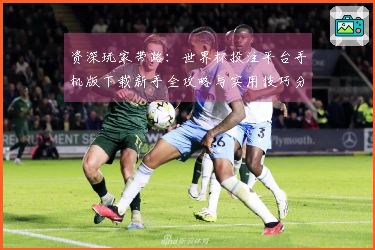 资深玩家带路：世界杯投注平台手机版下载新手全攻略与实用技巧分享