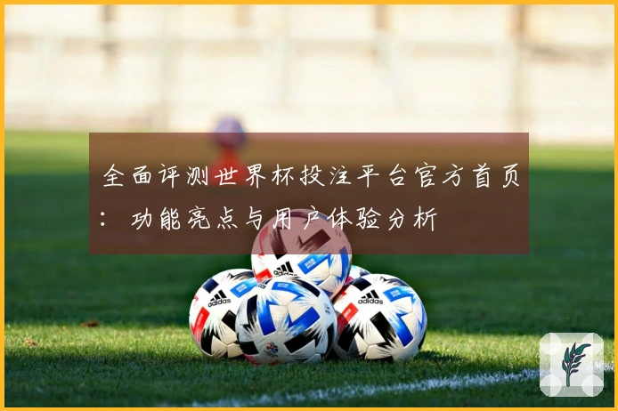 全面评测世界杯投注平台官方首页：功能亮点与用户体验分析
